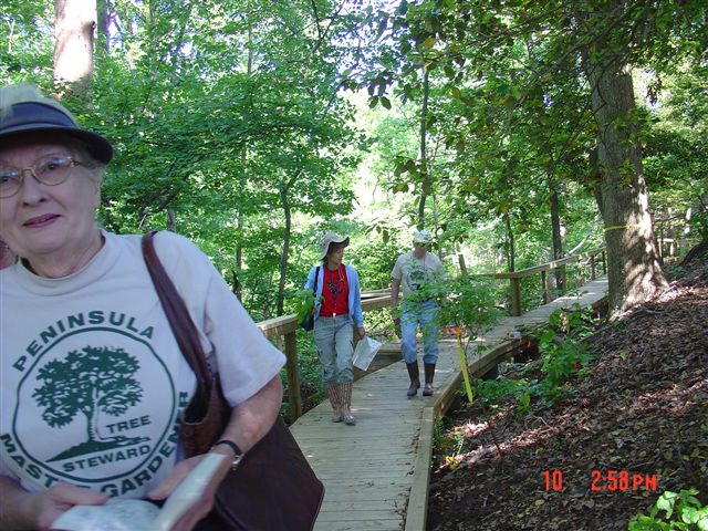 Woodland Trail